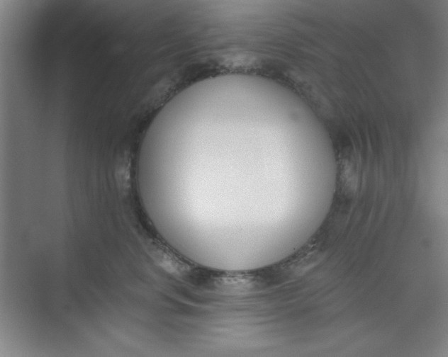 X0000073970668200609051847