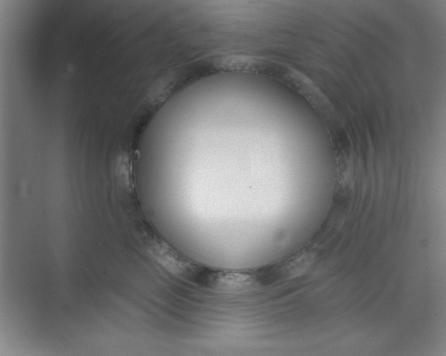 X0000073970669200609051847