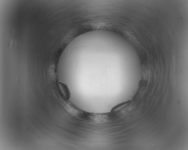 X0000073970670200609051847