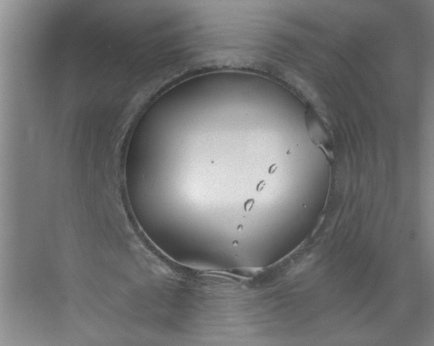 X0000073970673200609051846