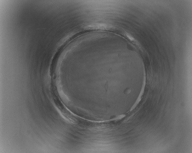 X0000073970674200609051846