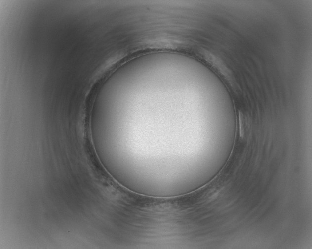 X0000073970675200609051846