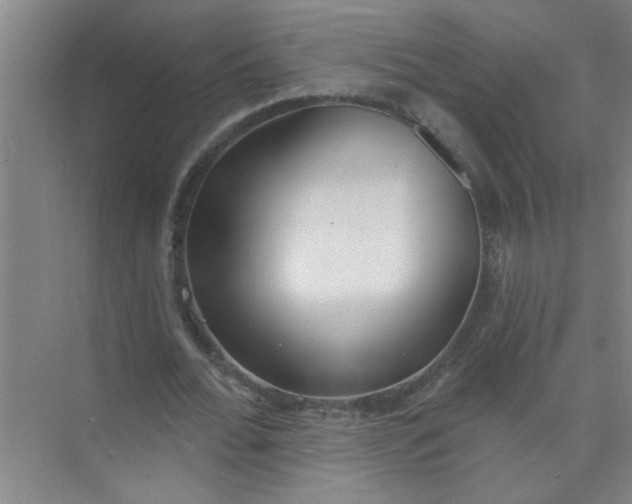 X0000073970676200609051846