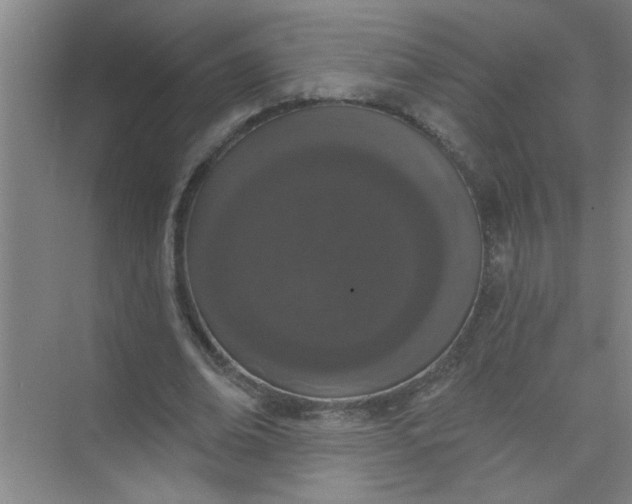 X0000073970678200609051846