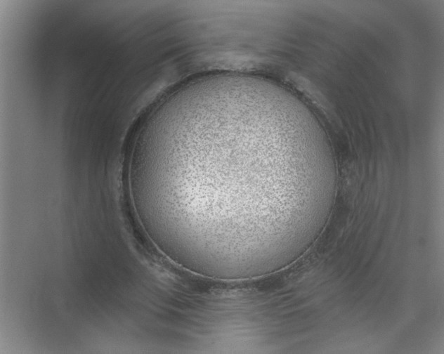 X0000073970679200609051846