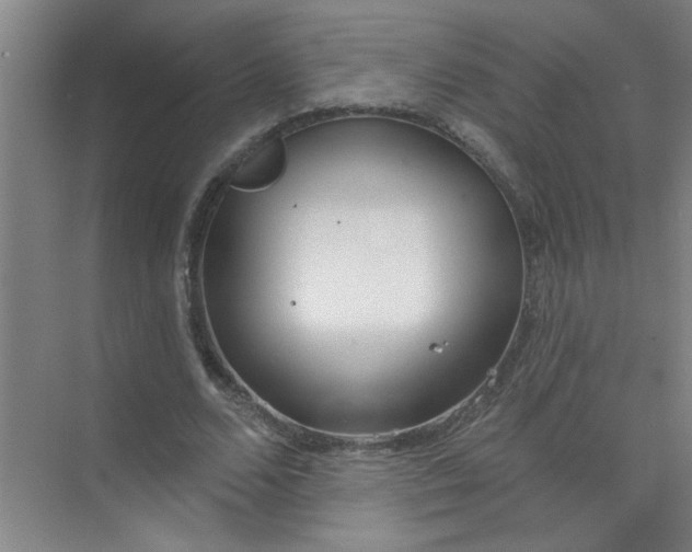 X0000073970680200609051846