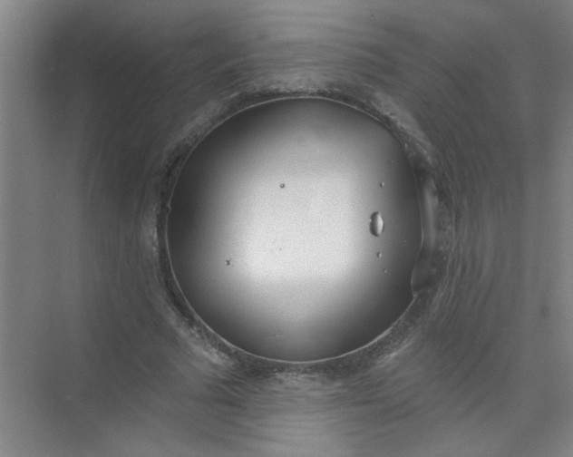 X0000073970681200609051846