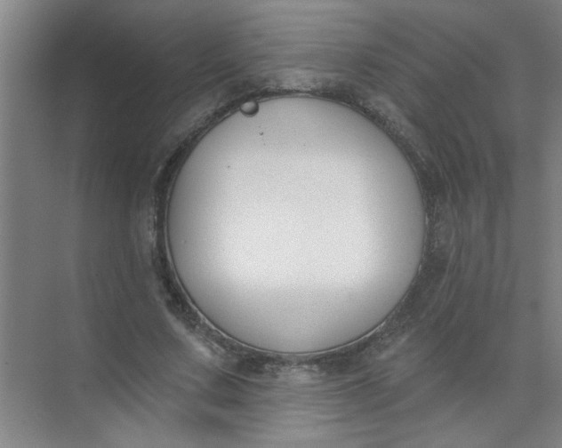 X0000073970683200609051846