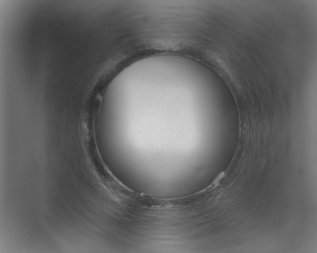 X0000073970688200609051846