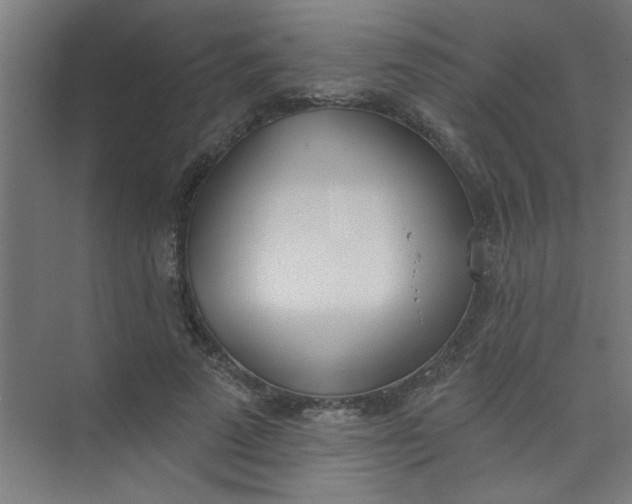 X0000073970689200609051846