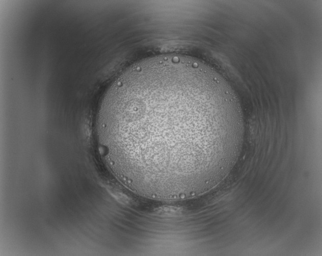 X0000073970691200609051845