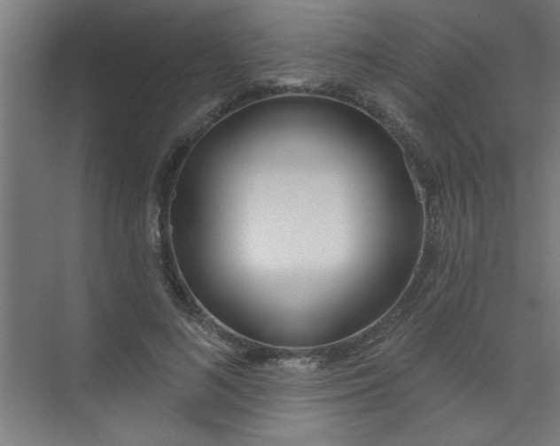 X0000073970692200609051845