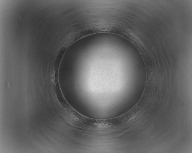 X0000073970693200609051845