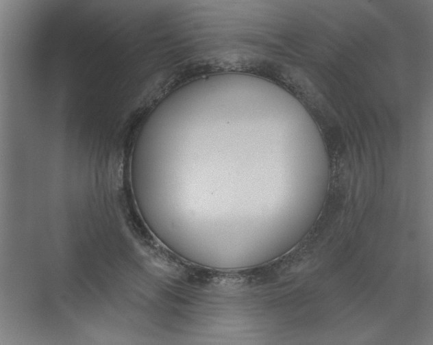 X0000073970694200609051845