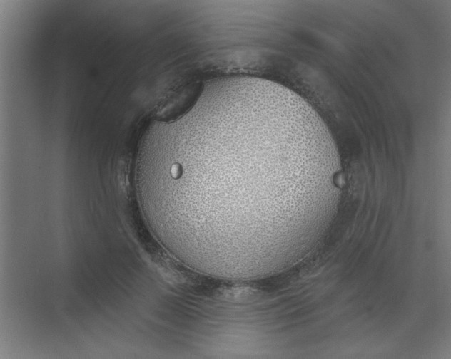 X0000073970695200609051845