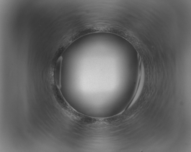 X0000073970696200609051845