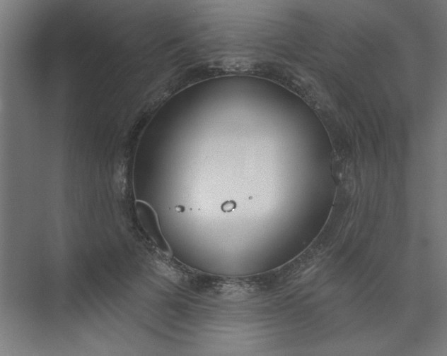 X0000073970697200609051845