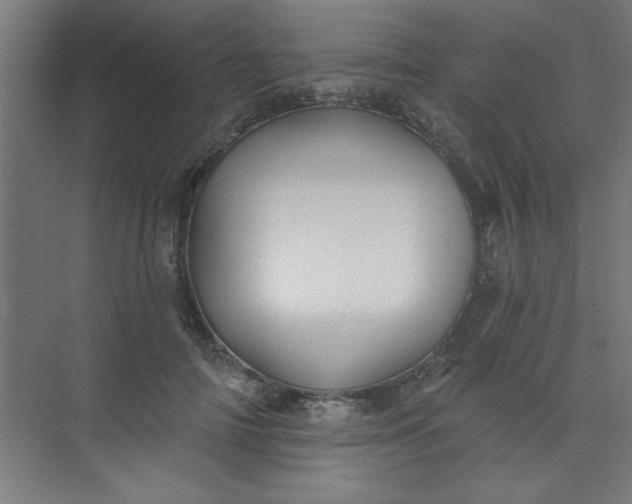 X0000073970698200609051845