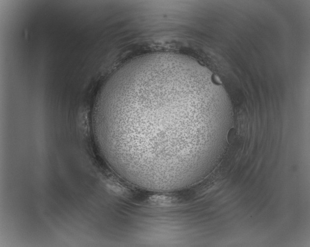 X0000073970699200609051845