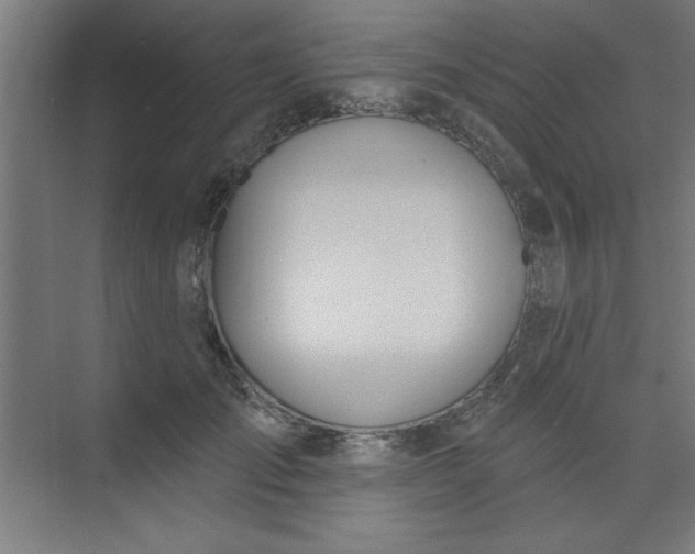 X0000073970701200609051845