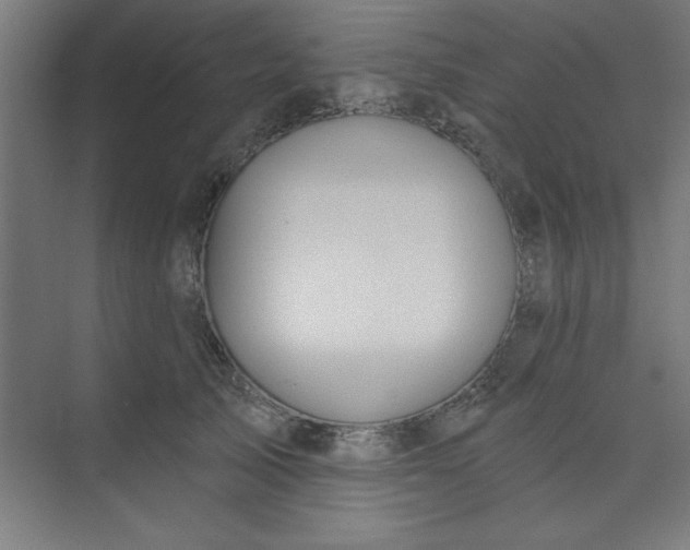 X0000073970705200609051845