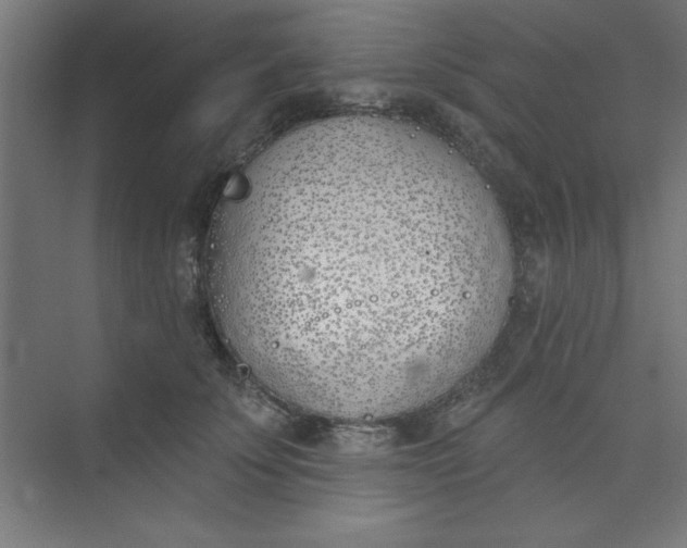 X0000073970707200609051845