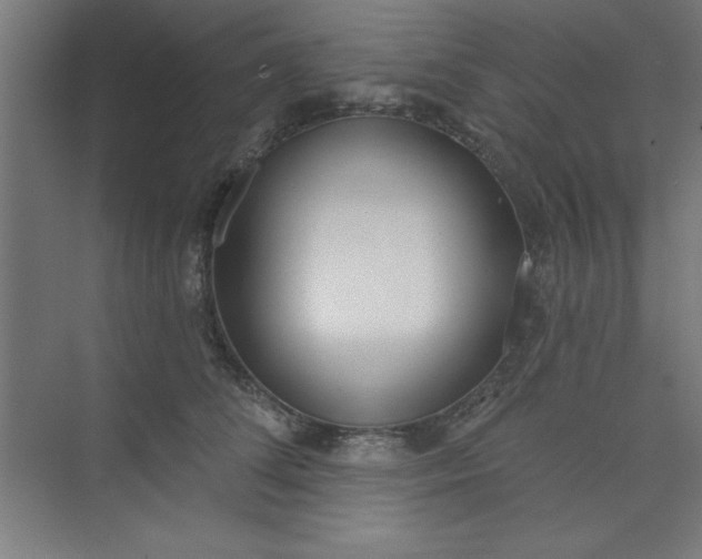 X0000073970708200609051845