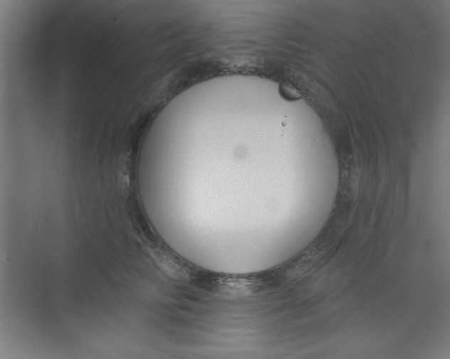 X0000073970710200609051845