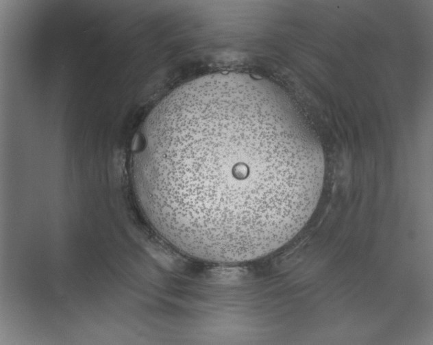 X0000073970711200609051845