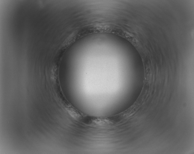 X0000073970712200609051845