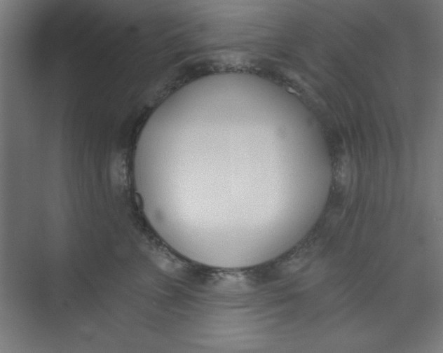 X0000073970715200609051845