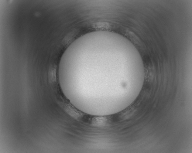 X0000073970717200609051845