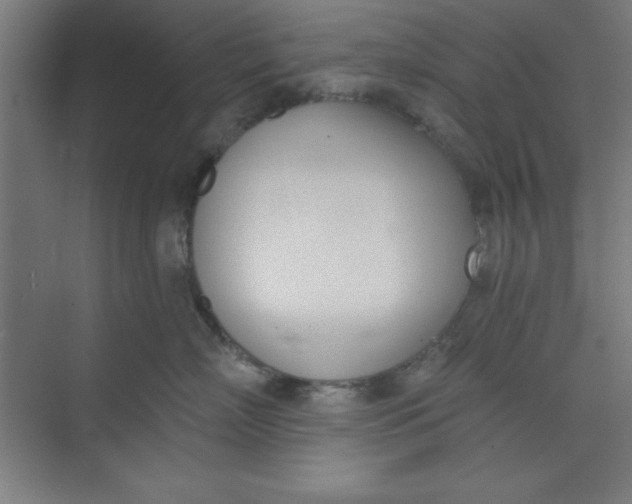 X0000073970718200609051845