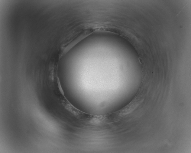 X0000073970720200609051845