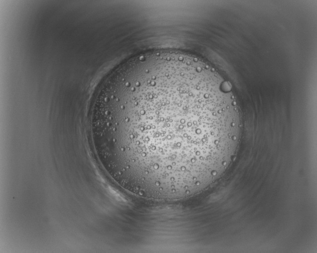 X0000073970721200609051844