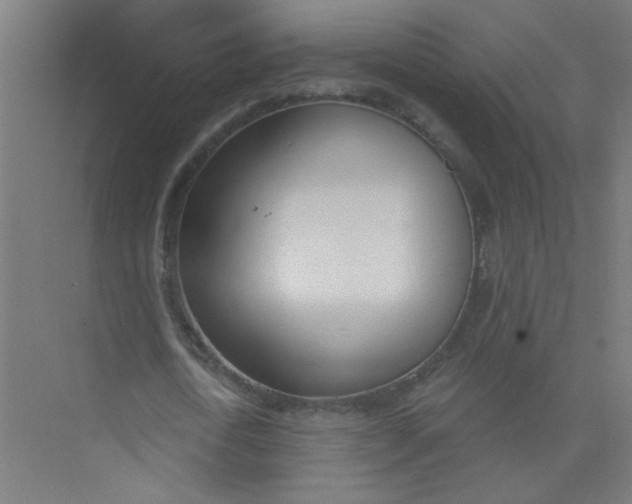 X0000073970722200609051844