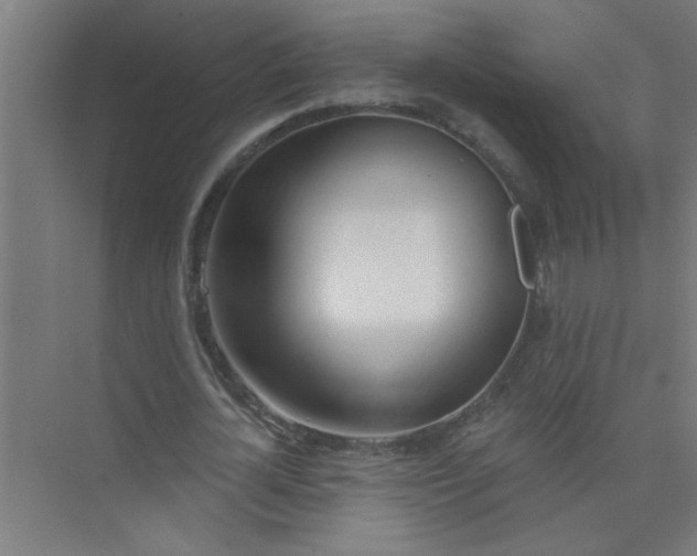 X0000073970724200609051844