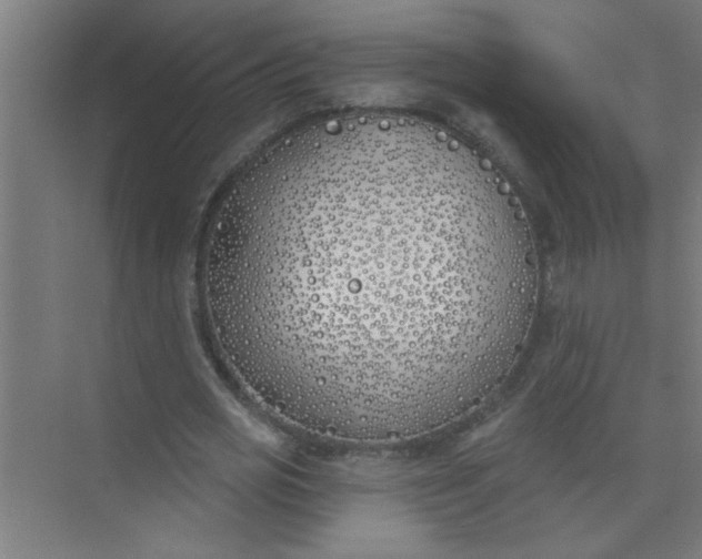 X0000073970725200609051844