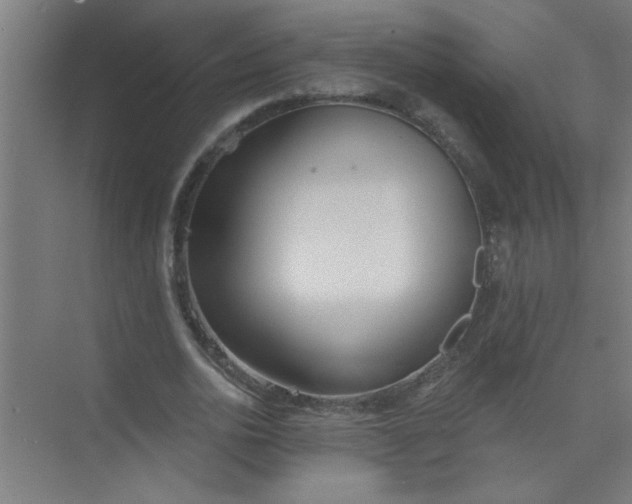 X0000073970726200609051844