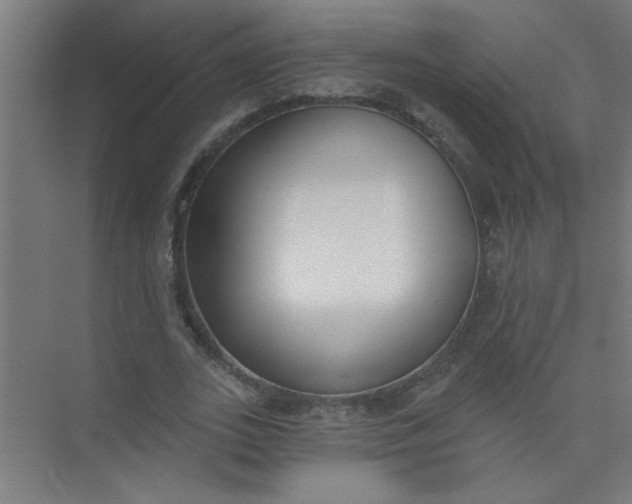 X0000073970727200609051844