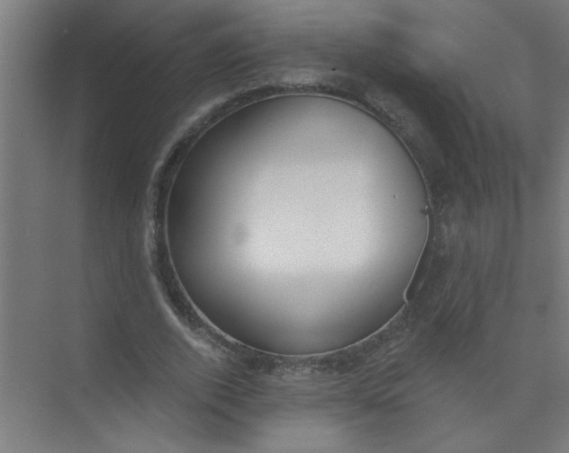 X0000073970728200609051844