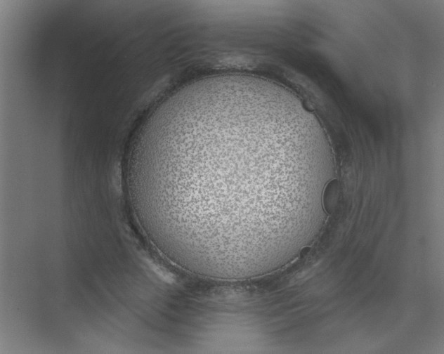 X0000073970729200609051844