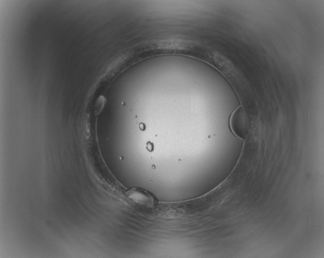 X0000073970731200609051844