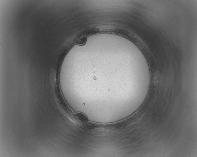 X0000073970733200609051844