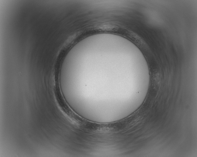 X0000073970734200609051844