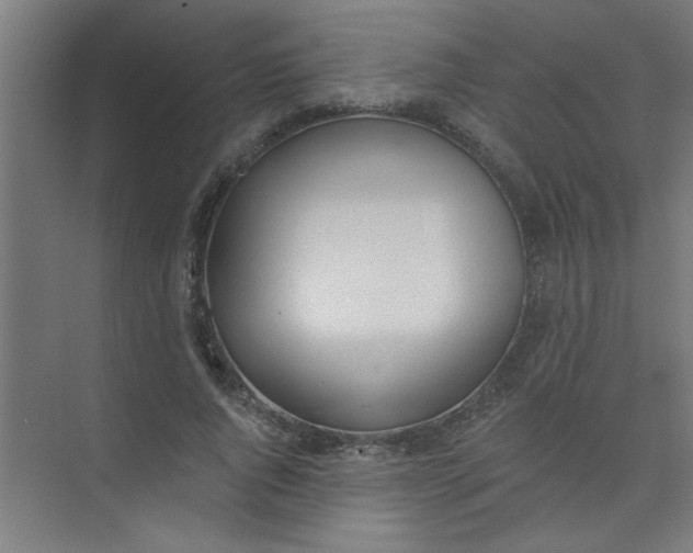 X0000073970736200609051844