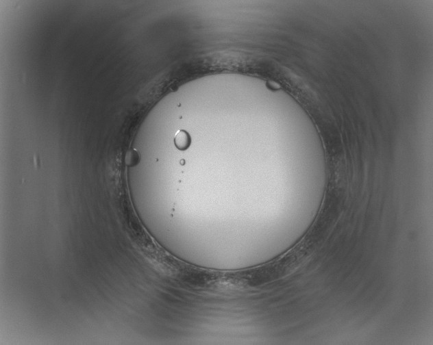 X0000073970737200609051844