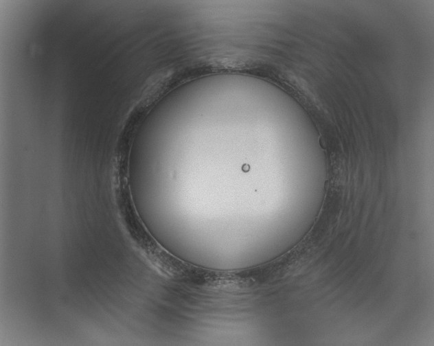 X0000073970738200609051844