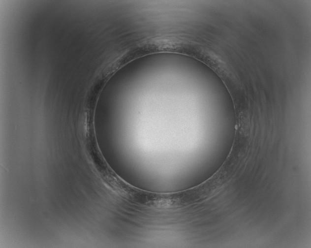 X0000073970740200609051845