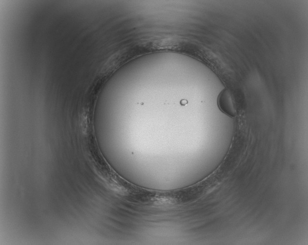 X0000073970741200609051845